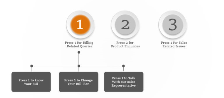 how does ivr system work